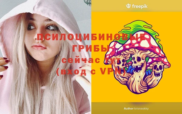 спайс Алексеевка